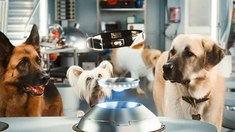 Cats & Dogs: The Revenge of Kitty Galore (2010)