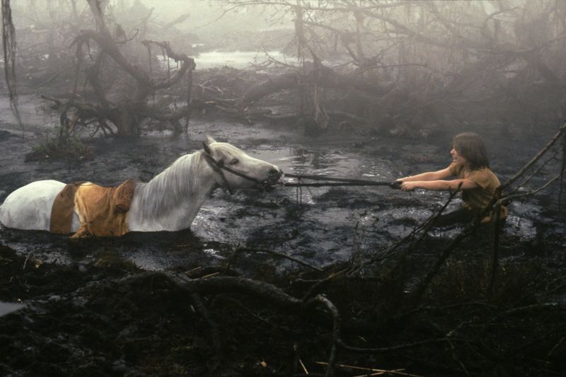 Artax Sinking in the Swamp – The NeverEnding Story (1984)