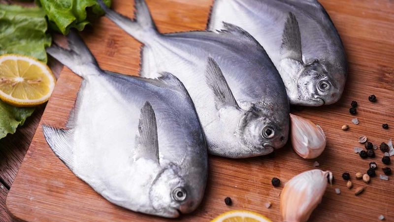 Silver Pomfret Fish
