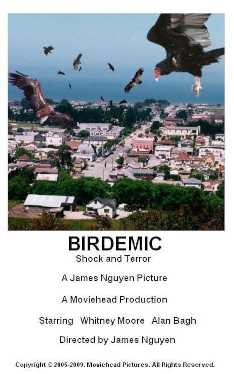 Birdemic: Shock and Terror