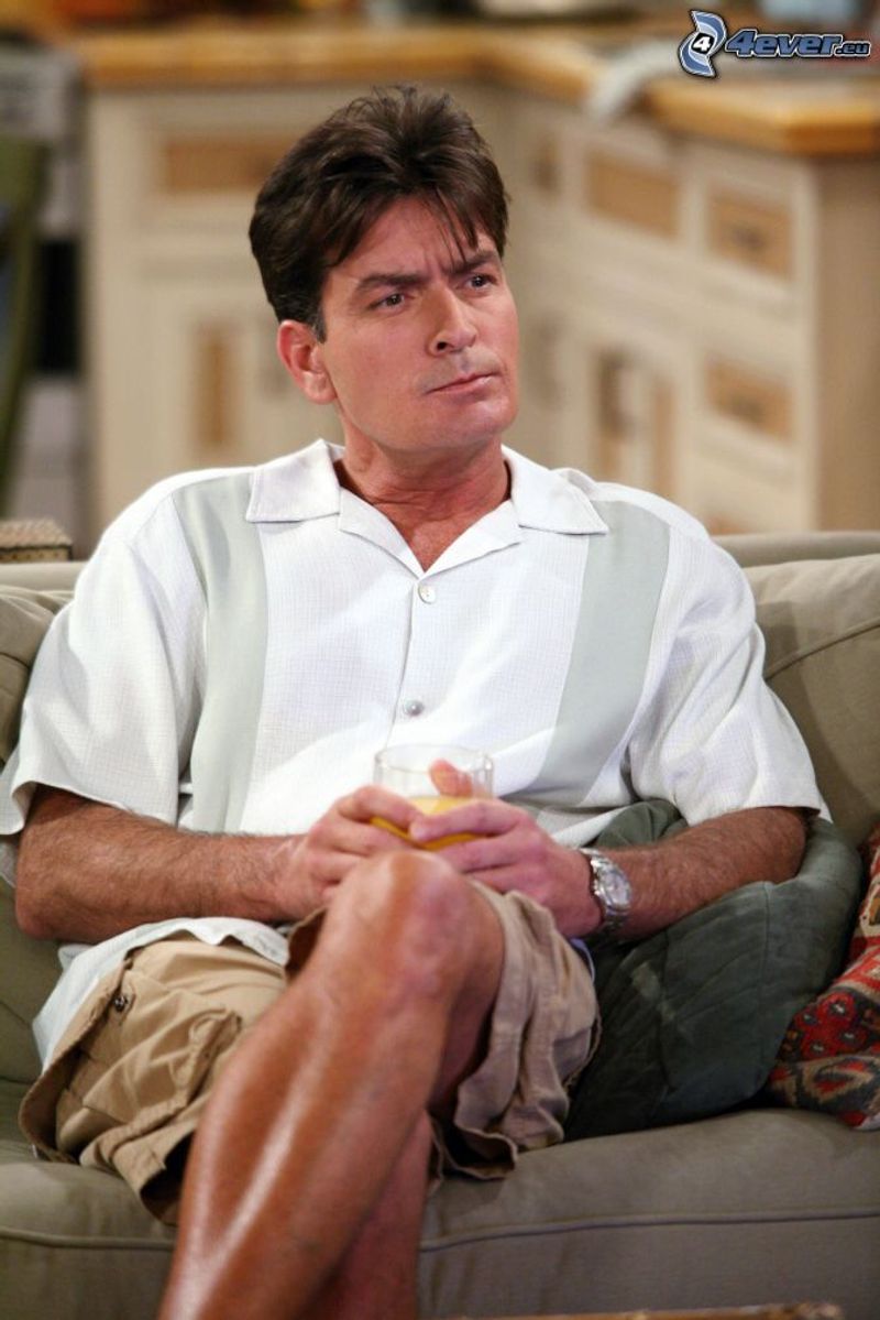 Charlie Sheen — Departed Two and a Half Men amid scandal and saw his career nosedive