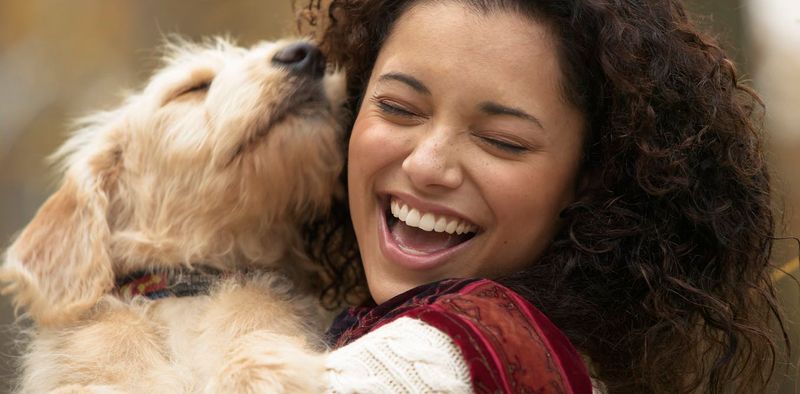 Excessive Attachment to Pets