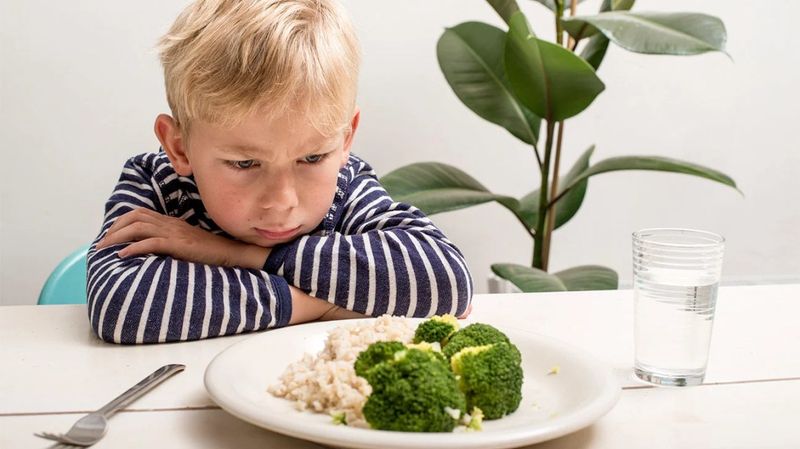 Limited Dietary Concerns or Restrictions