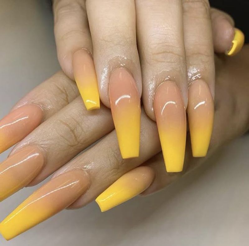 Sunflower Delight