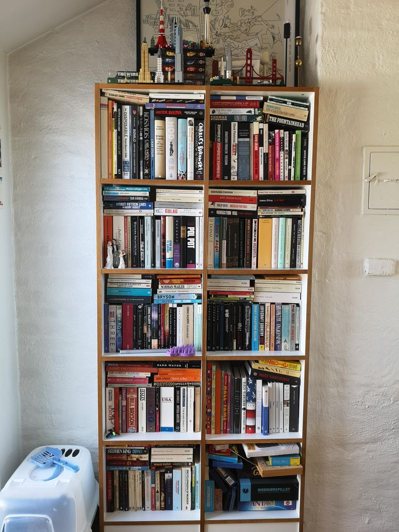 Overflowing Bookshelf Collection
