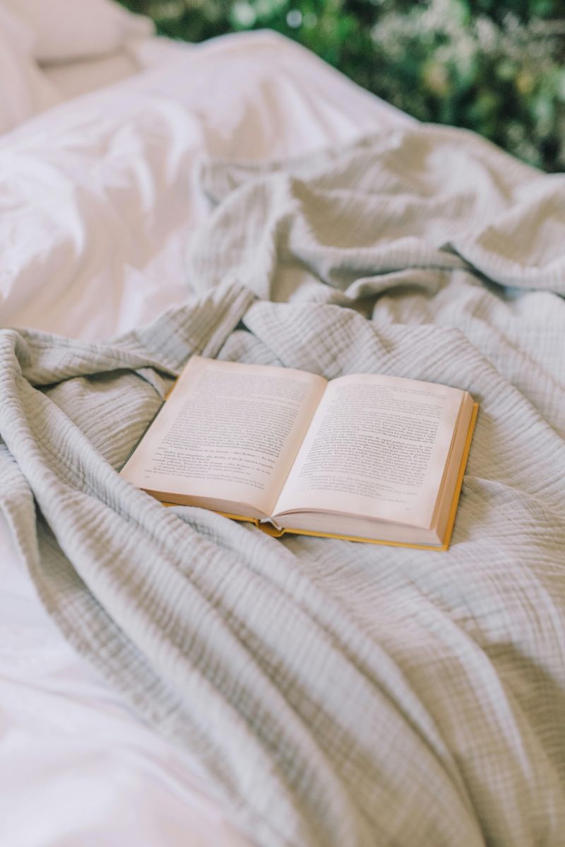 What book, movie, or song has brought you comfort recently?