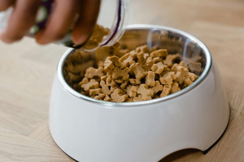 Pet Food and Treats