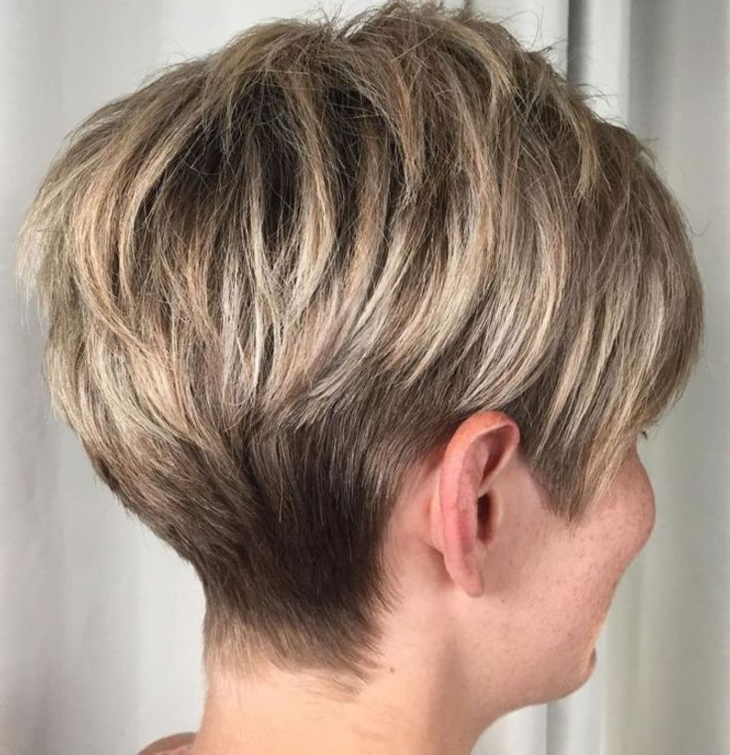 Tapered Pixie
