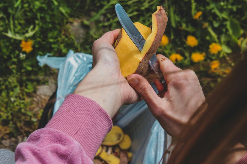 Compost What You Can’t Save