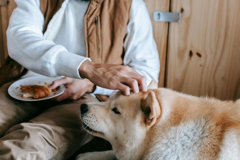 Genuine Kindness That Extends To Everyone