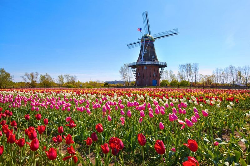 Dutch Heritage in Holland, Michigan