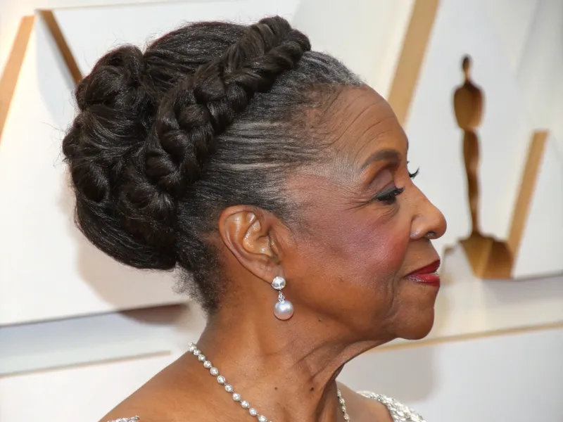 Elegant Updo with Flat Twists