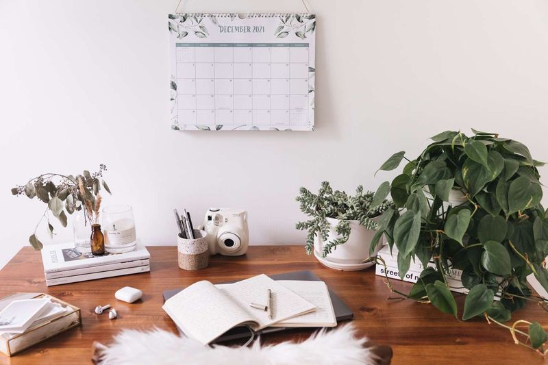 Thriving Houseplants