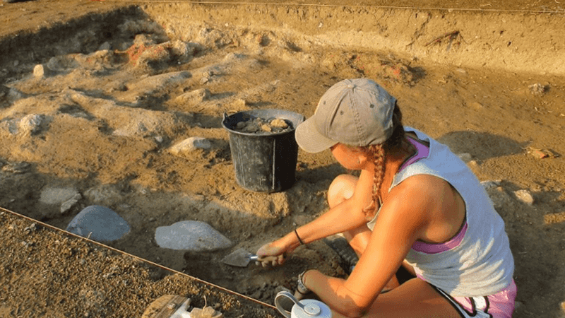 Anthropology / Archaeology