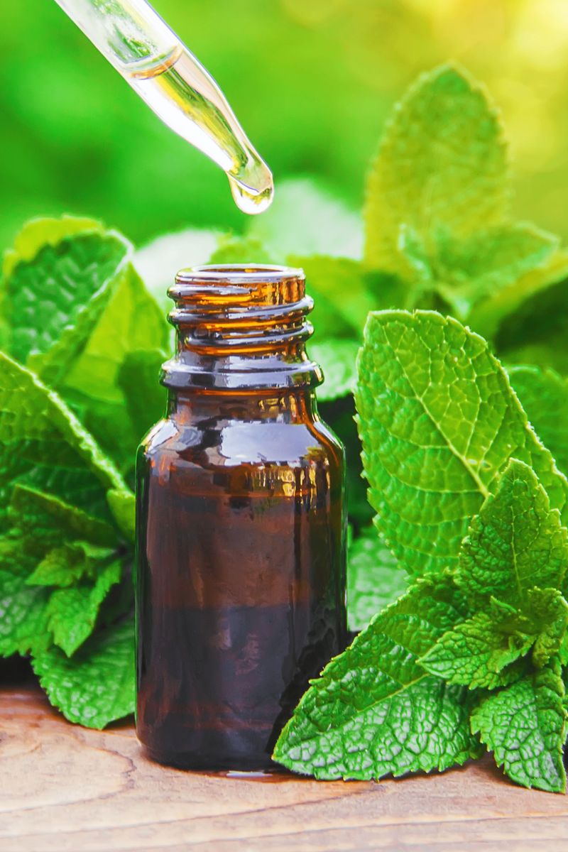 Peppermint Oil