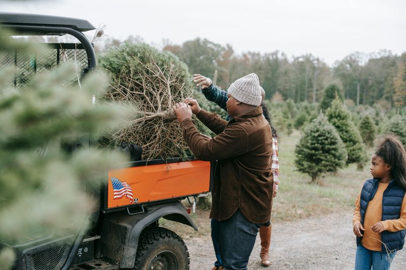 Cutting Down a Real Christmas Tree as a Family