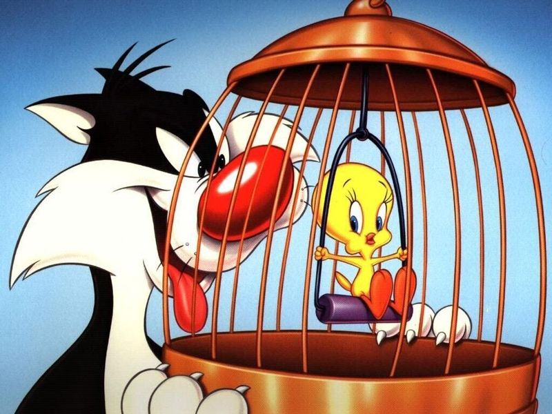 Anthropomorphic Animal Duos