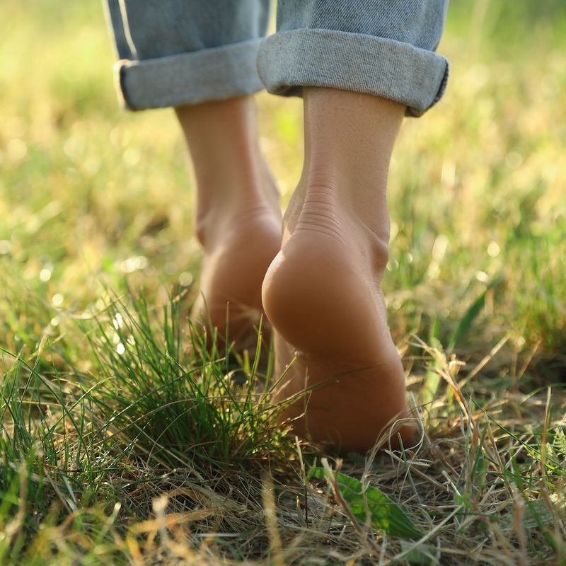 Grounding Practices For Chaos