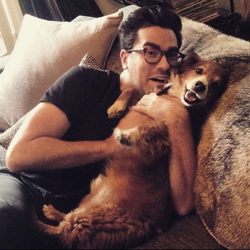 Dan Levy