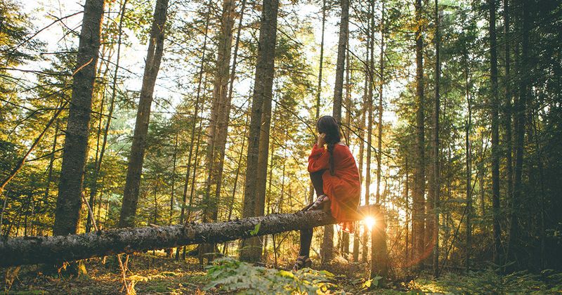 15 Simple Daily Habits of Genuinely Happy People