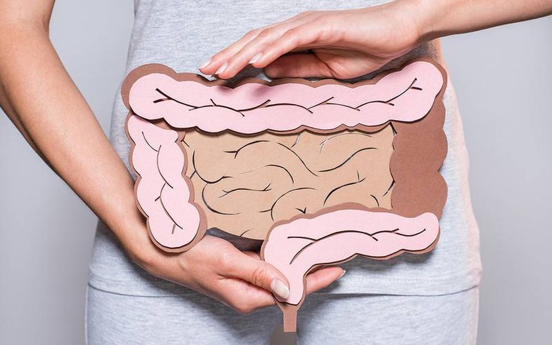 Colonoscopy Examination