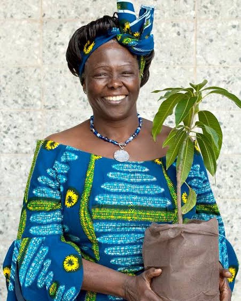 Wangari Maathai