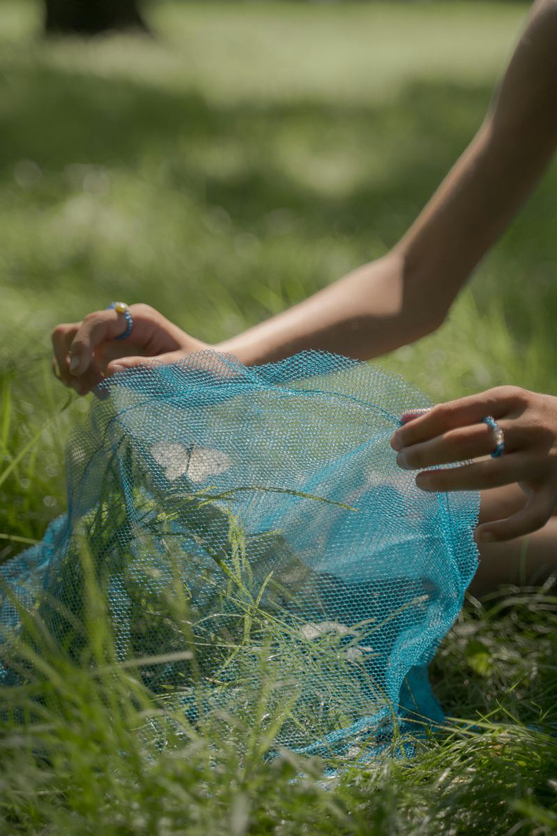 Catching Fireflies and Ignoring Bedtimes
