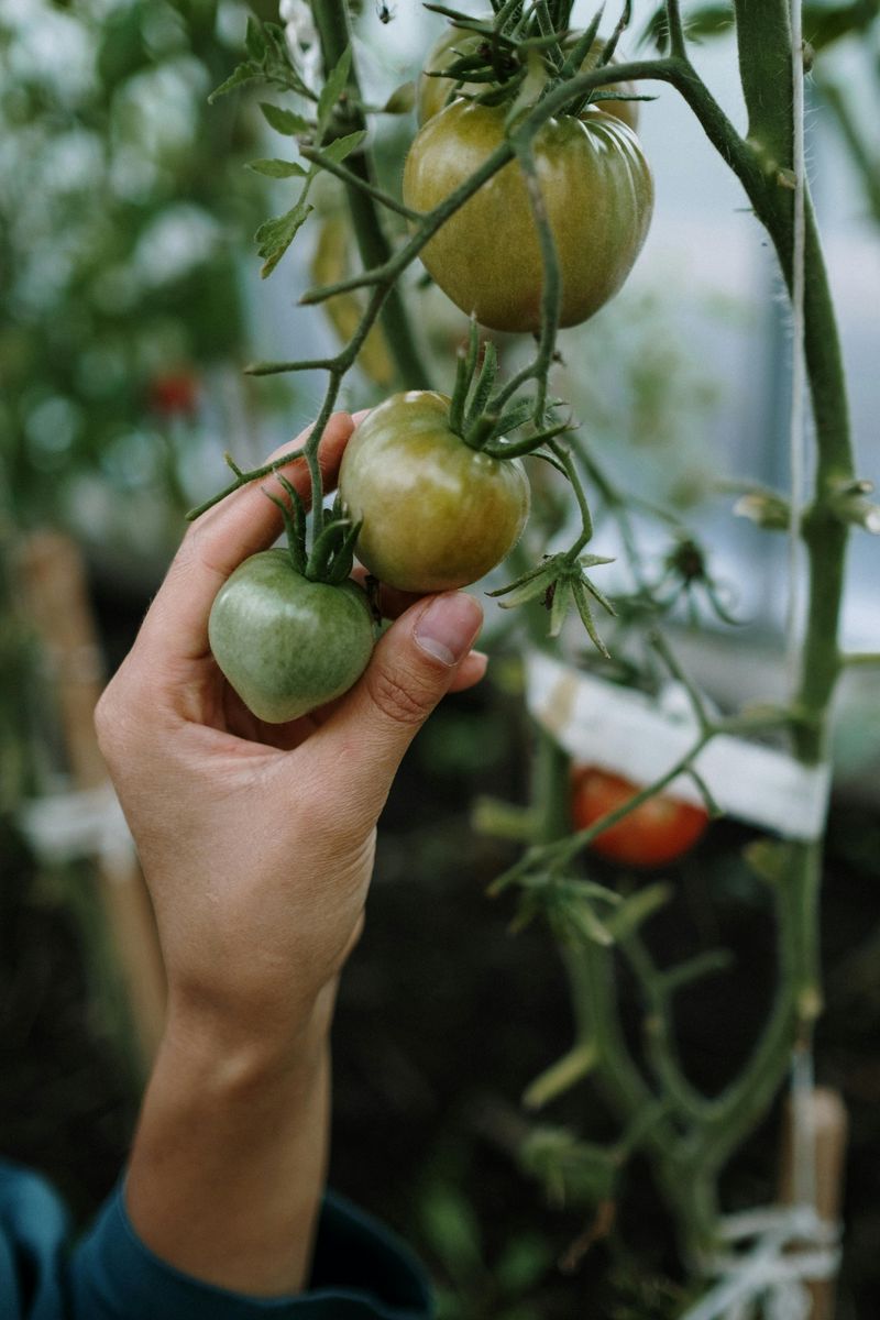 Growing Their Own Food