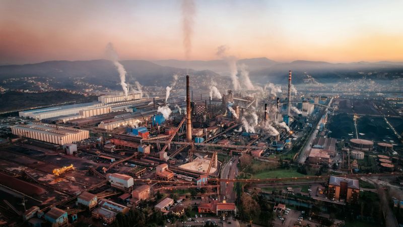 Environmental Toxin Buildup