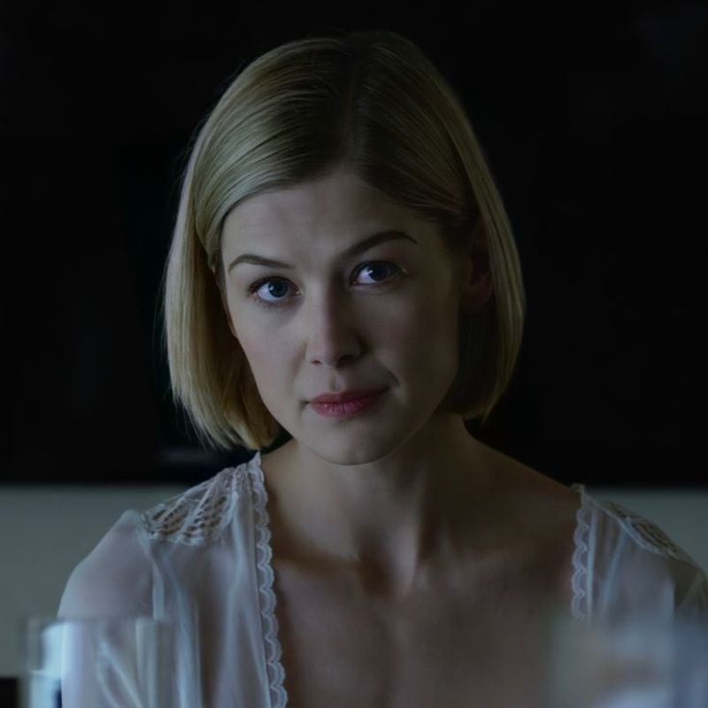 Amy Dunne: The Wife Who Rewrote Her Own Story