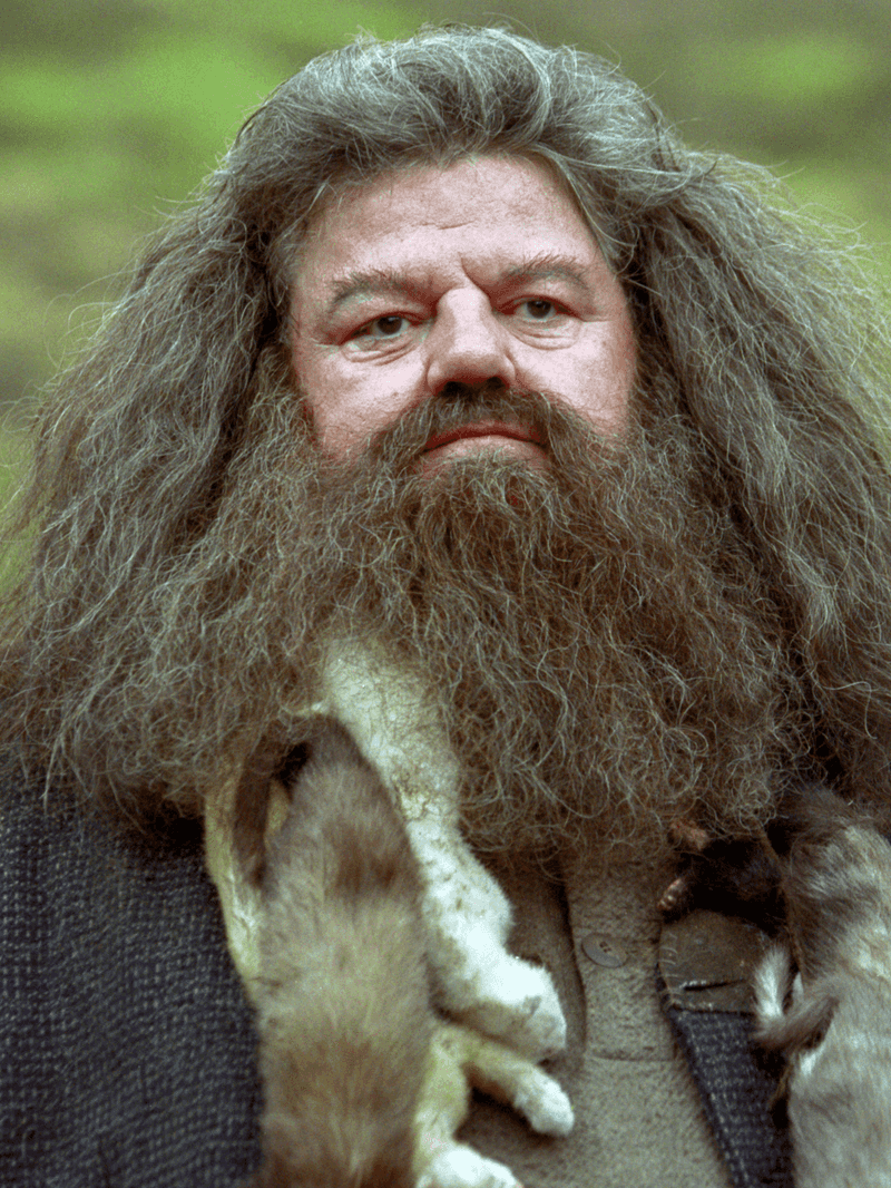 Pisces: Rubeus Hagrid - The Gentle Giant