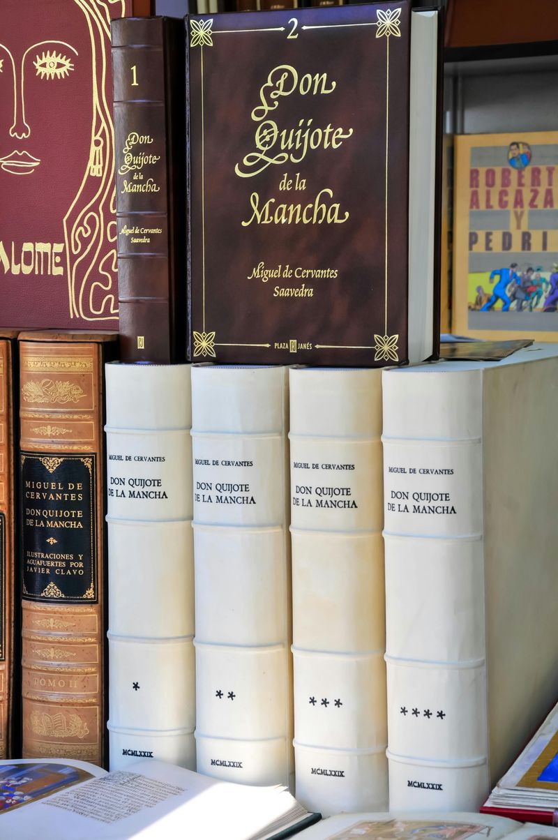 Don Quixote by Miguel de Cervantes