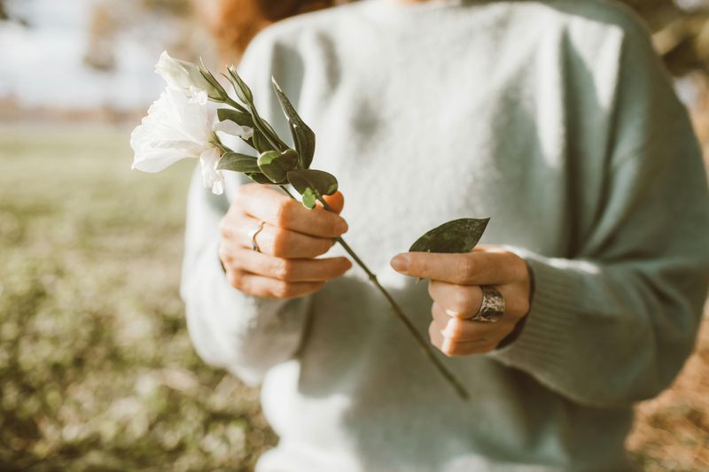 Healing Is Possible Without Forgetting