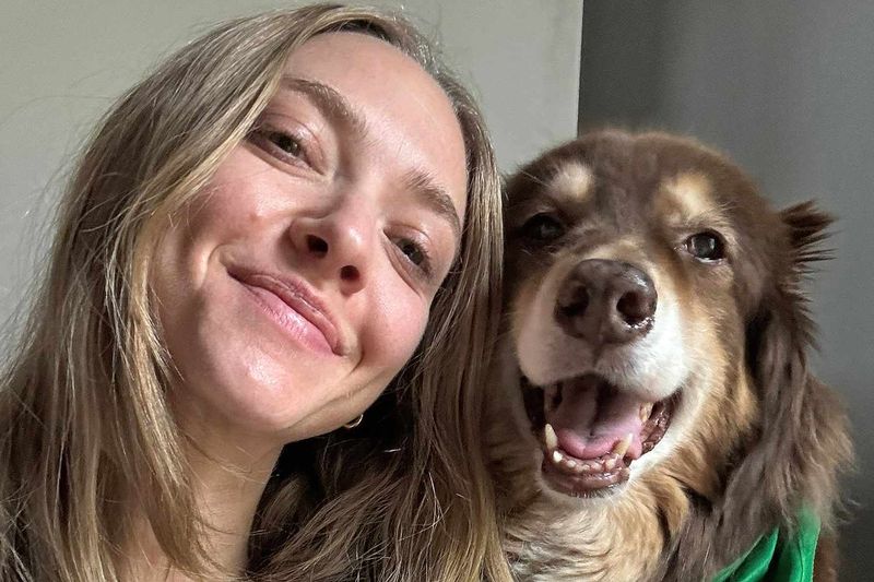 10 Celebrities Who Have Adopted Rescue Pets