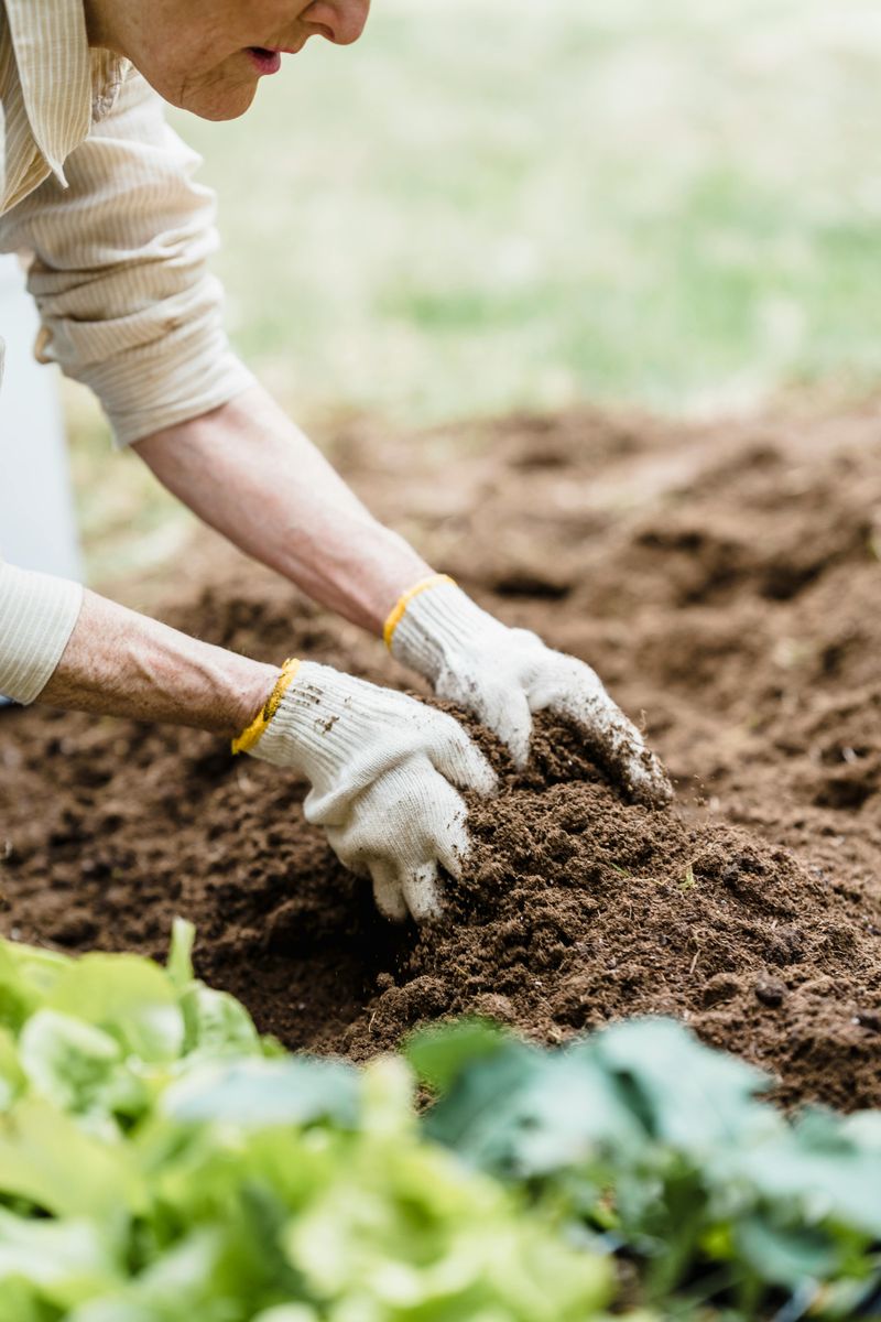 Test and amend your soil before the ground freezes