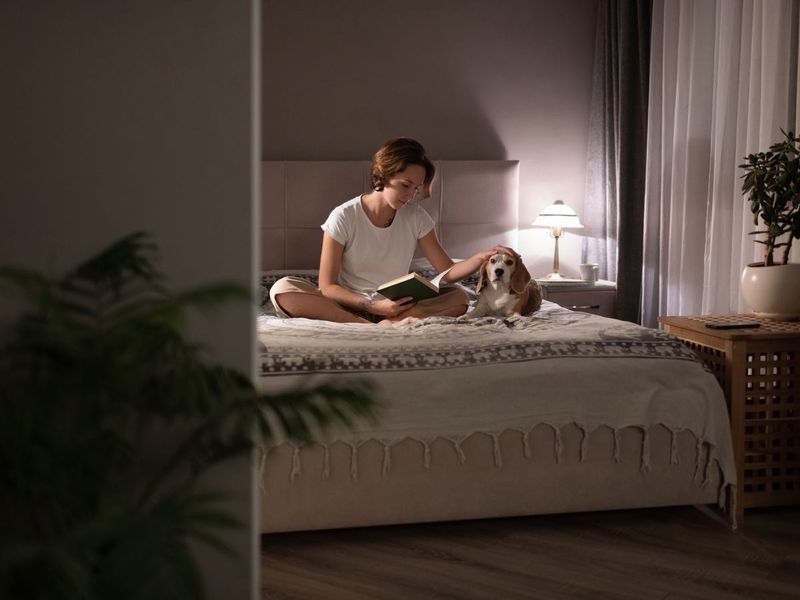Optimize Your Sleep Environment