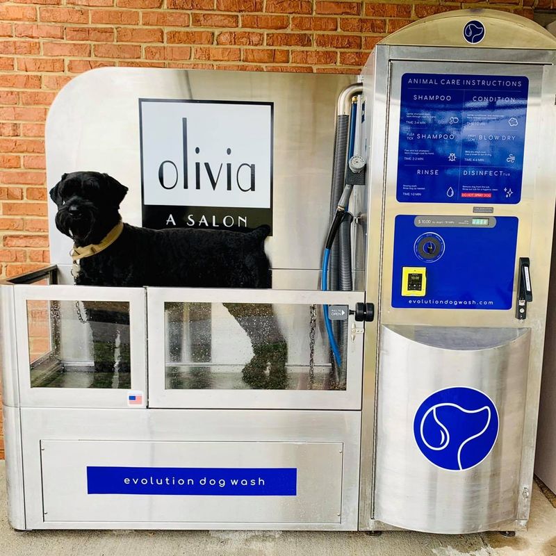 Automated Pet Wash Stations