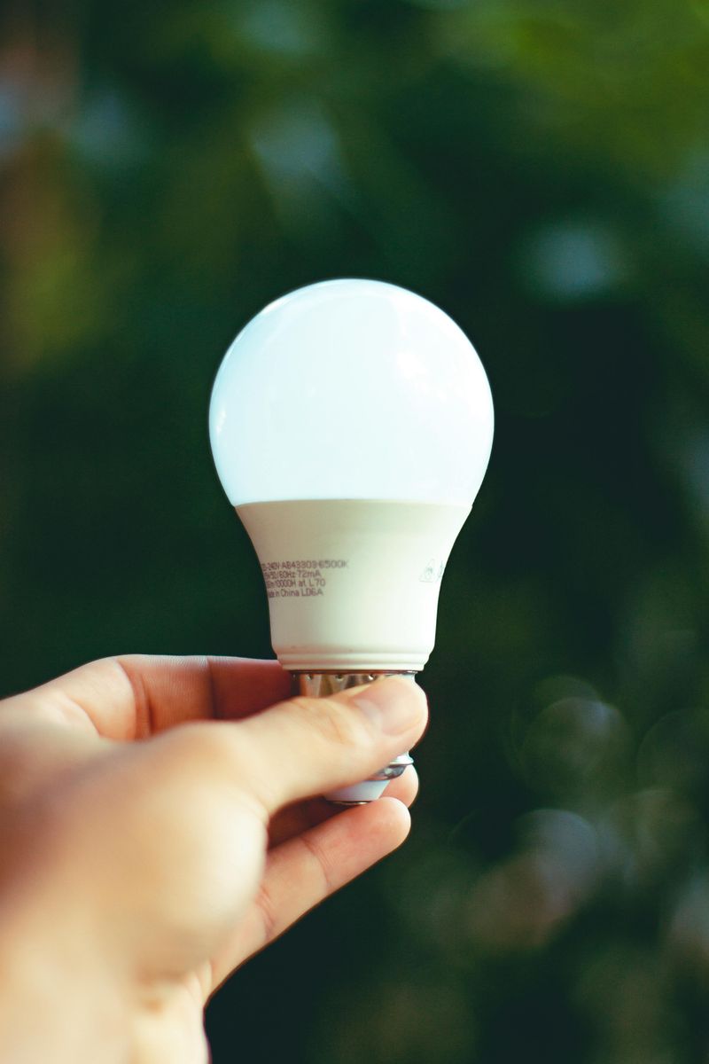 Energy-Efficient LED Light Bulbs