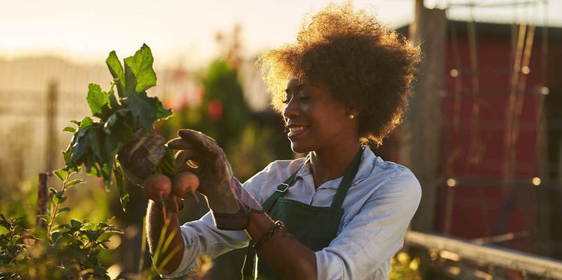 Reconnect with your passions