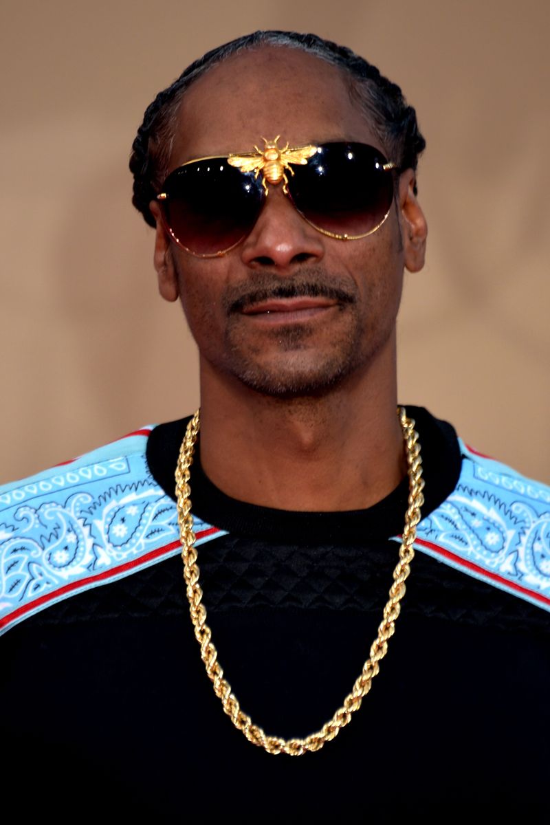 Snoop Dogg and Brandy (and Ray J)