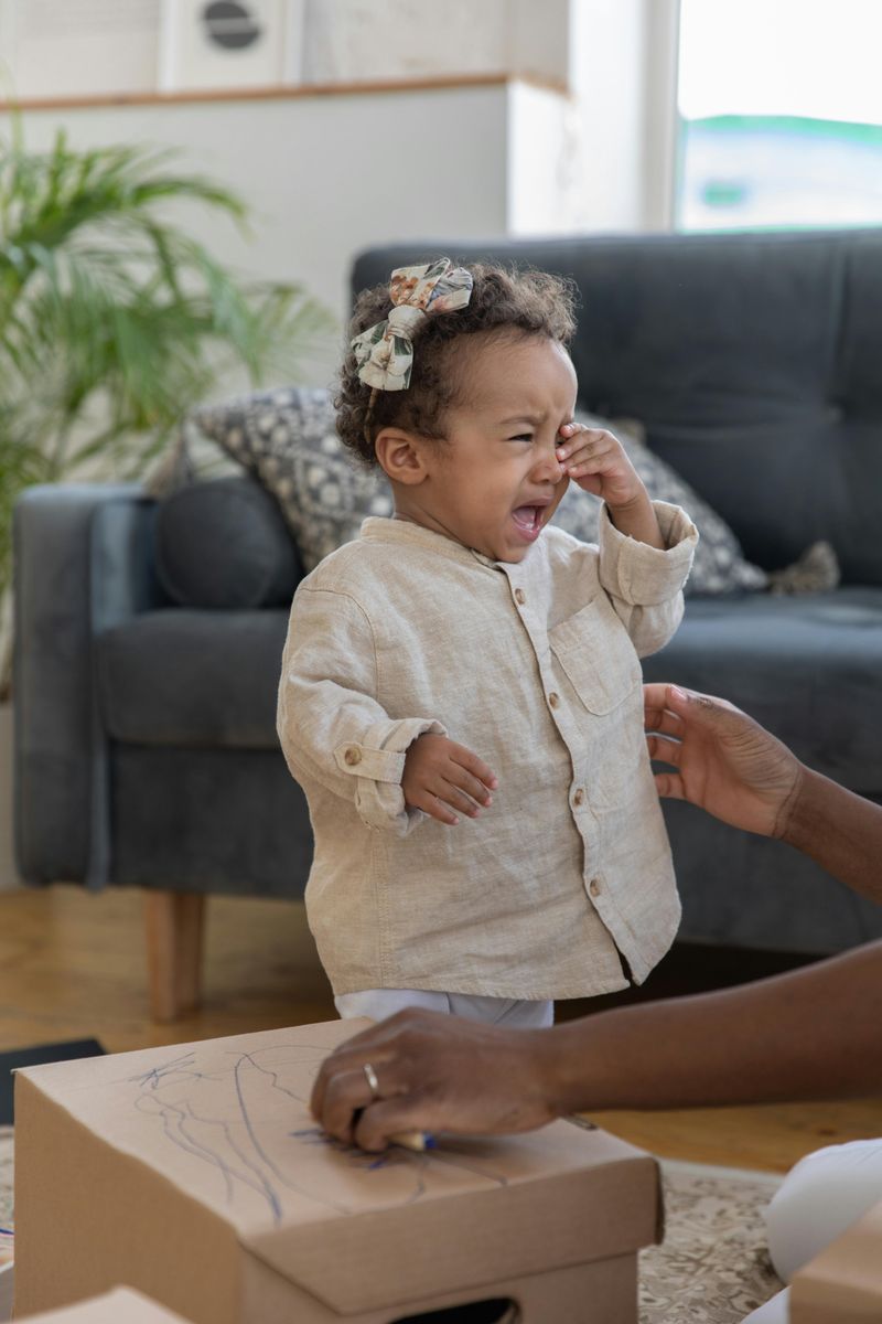 Emotional Regulation Skills Were Never Installed