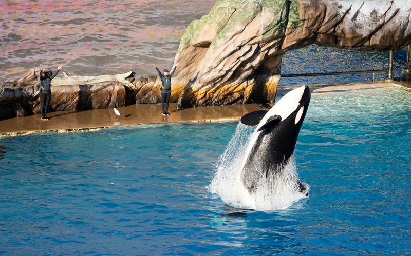 San Diego's Ocean-to-Zoo Adventure