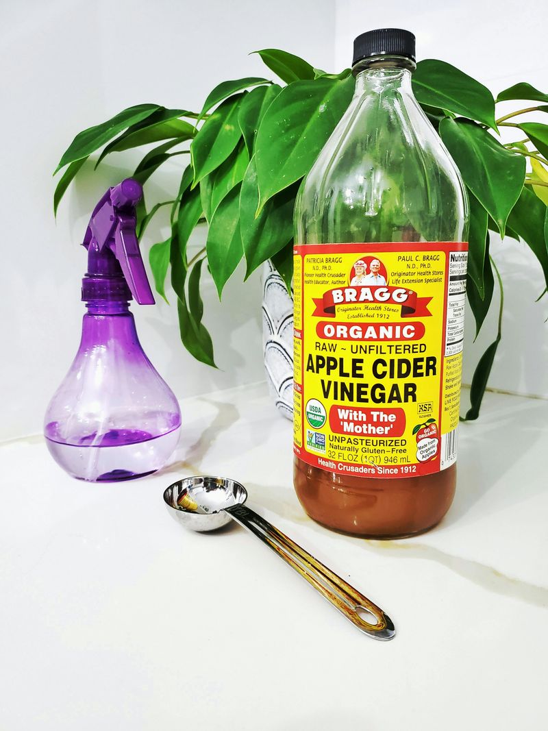 Vinegar (apple cider or rice vinegar)