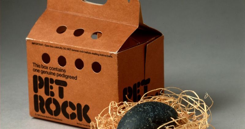 Pet Rocks