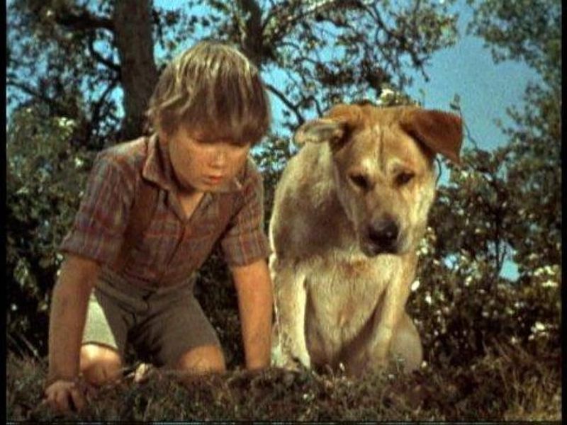 Old Yeller – Old Yeller (1957)