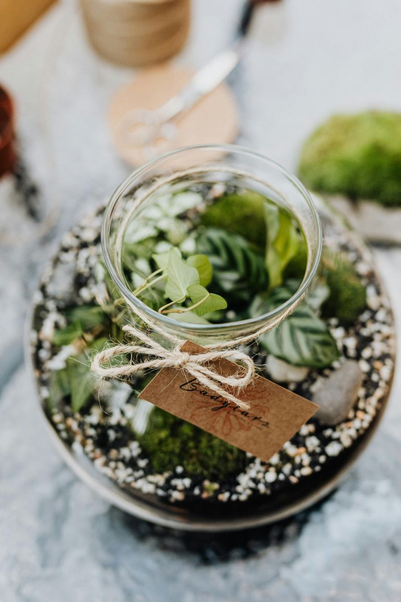 A Plants-in-a-Jar Gift