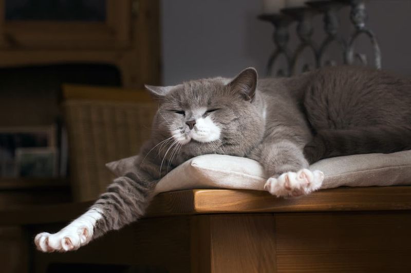 Stretching and Yawning Around You