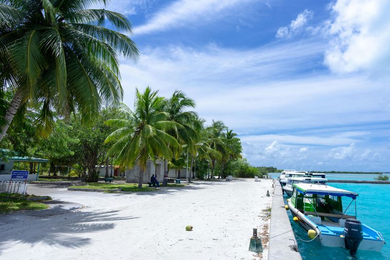 Belize's Jungle and Reef Adventures