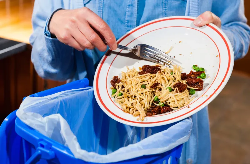 Waste Not, Want Not