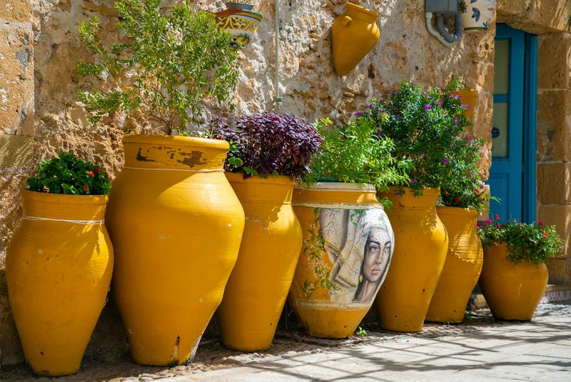 Painted Terracotta Planters